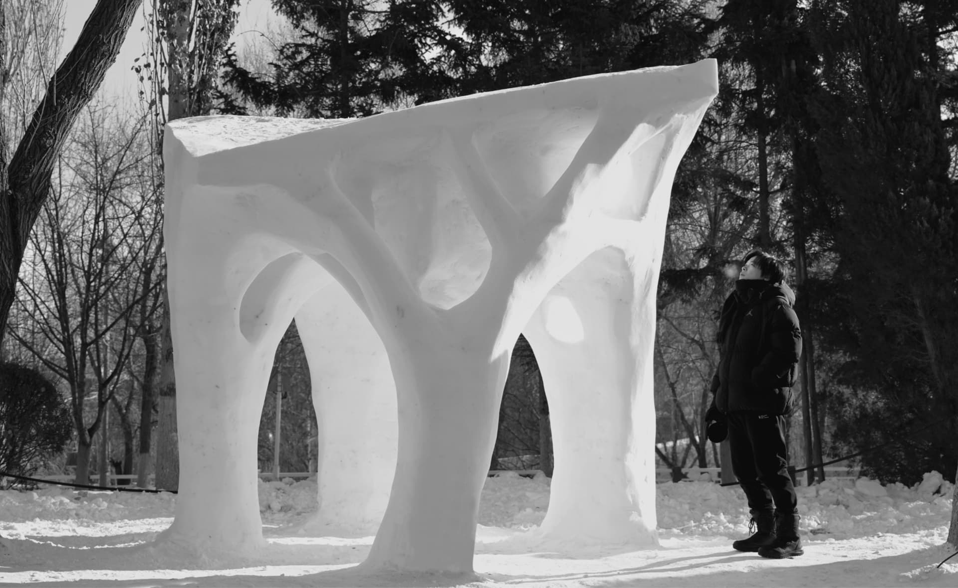 Person looking at a sculpture made from snow