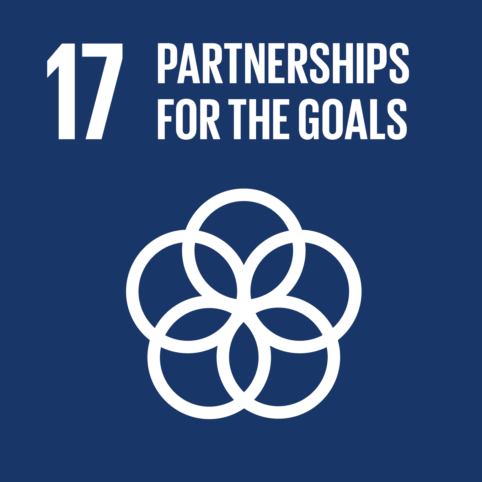 sustainable development goal 17 icon partnerships for the goals