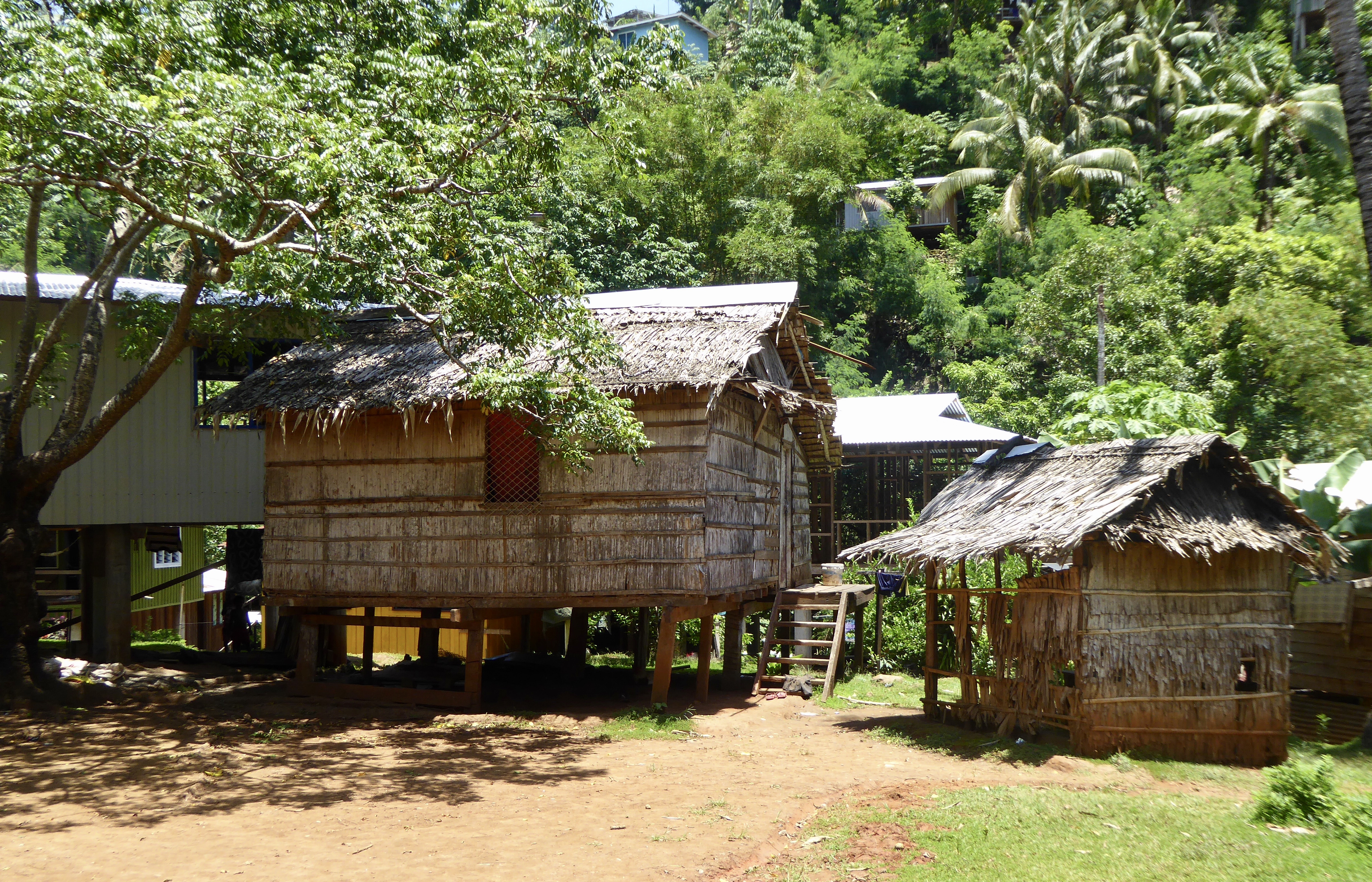 Photo of houses made from natural resources. One house is elevated off the ground. In the foreground is mostly dirt with some patches of grass. Trees litter the background with green folliage.