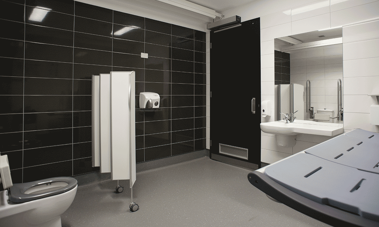 A changing room with a toilet, sink, hand dryer and privacy screen