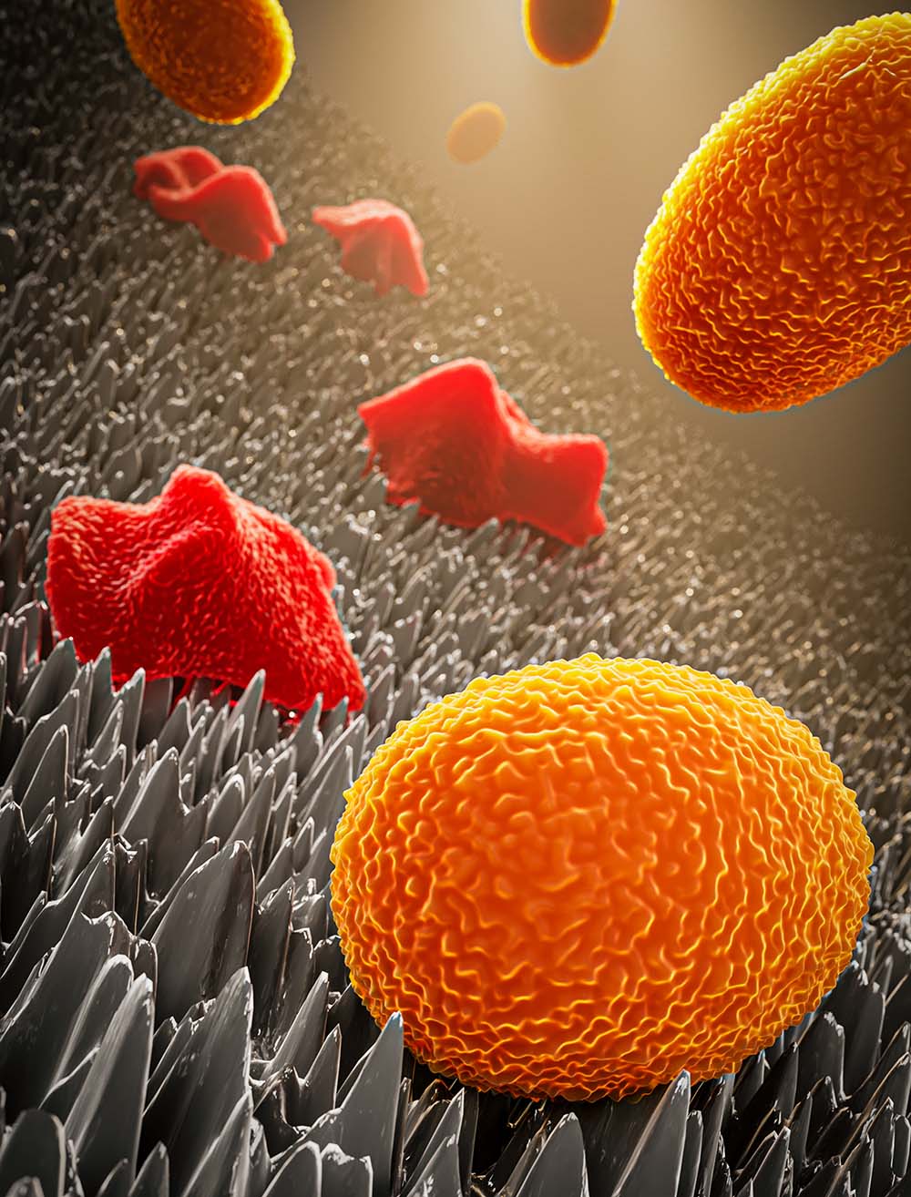 Journal cover for Advanced Materials Interfaces