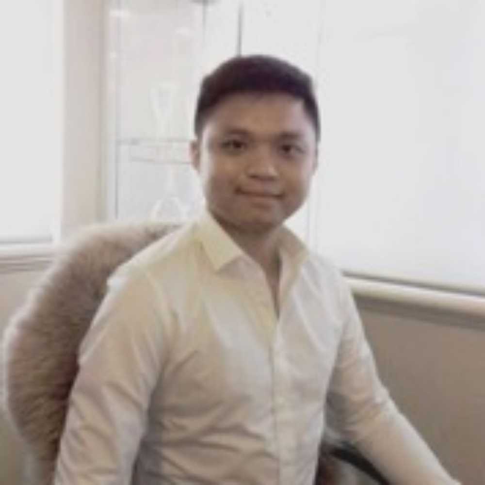 The Hong Phong Nguyen