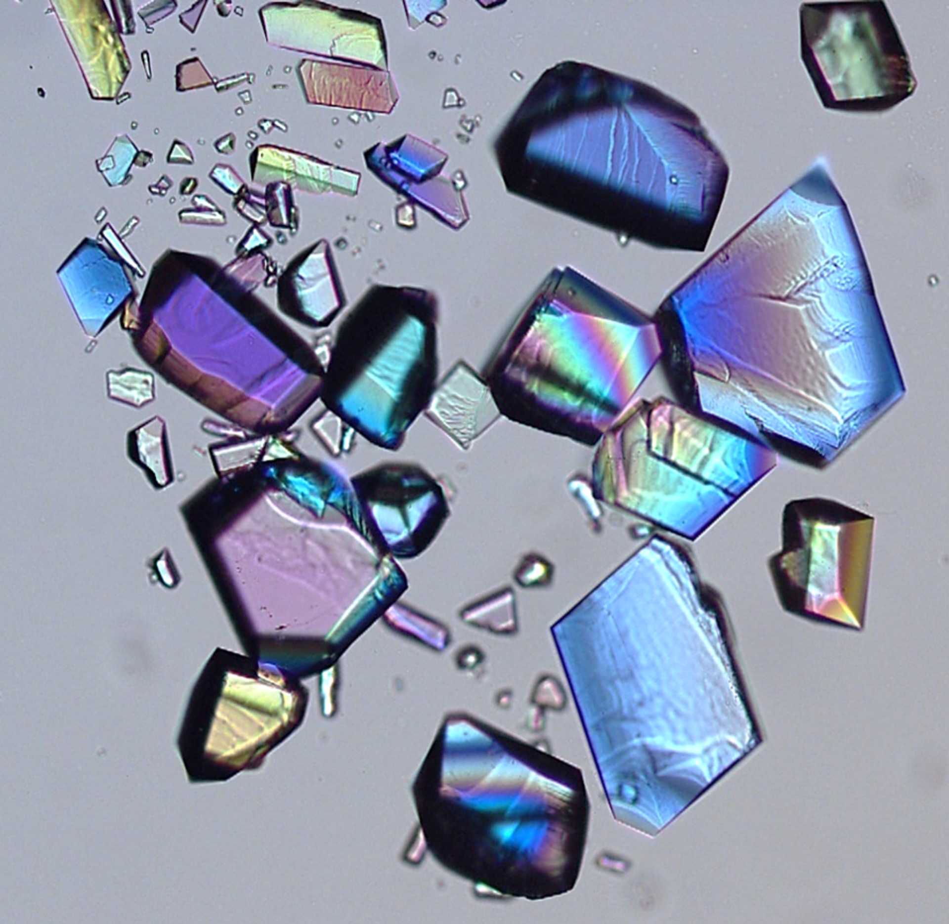 Colourful microscope image of lysozyme crystals in an ionic liquid