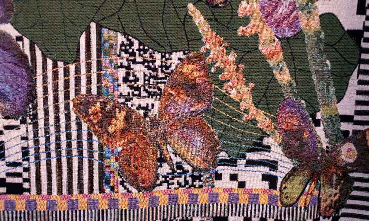 Text And Media Video