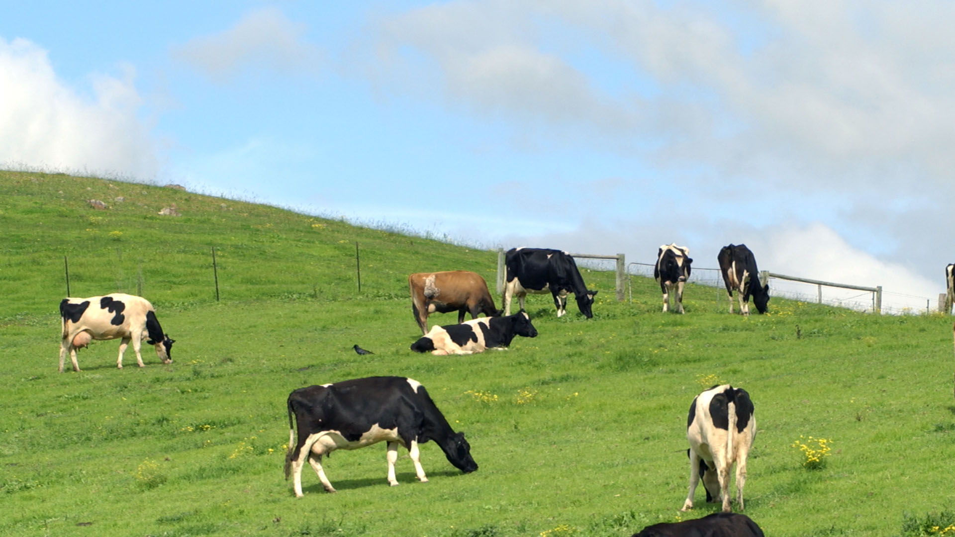 euce-1920_0003_Smart Spec Regional Dev.jpg