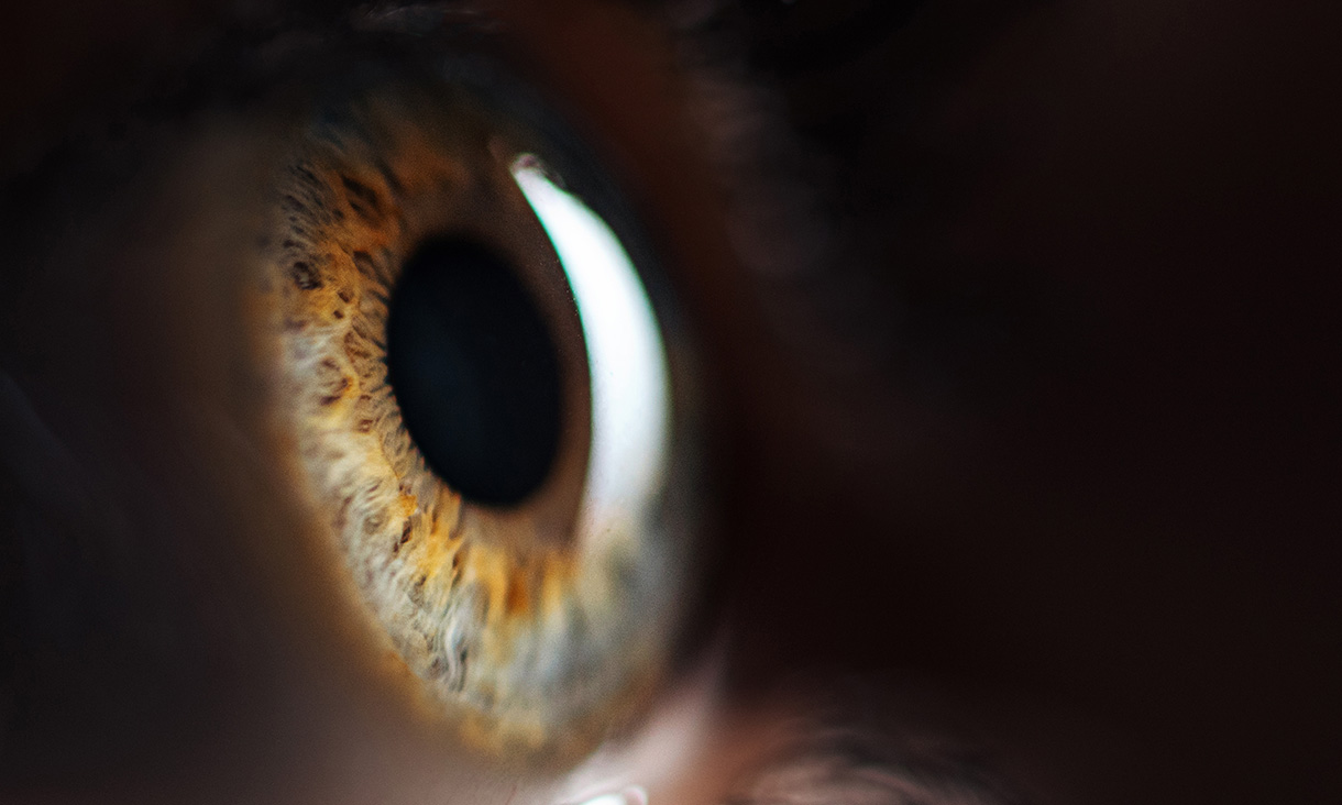A closeup of a human iris