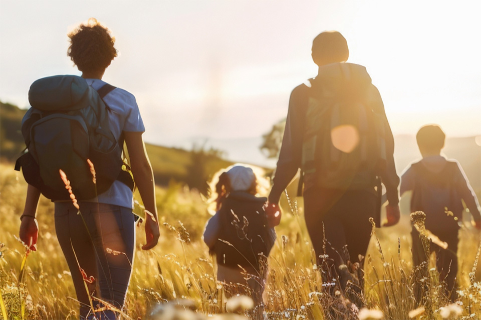 Four people walking through a sunlit field wearing backpacks, heading towards the horizon on a bright day.