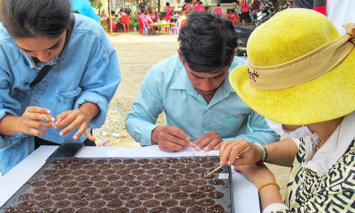 Image of germination training