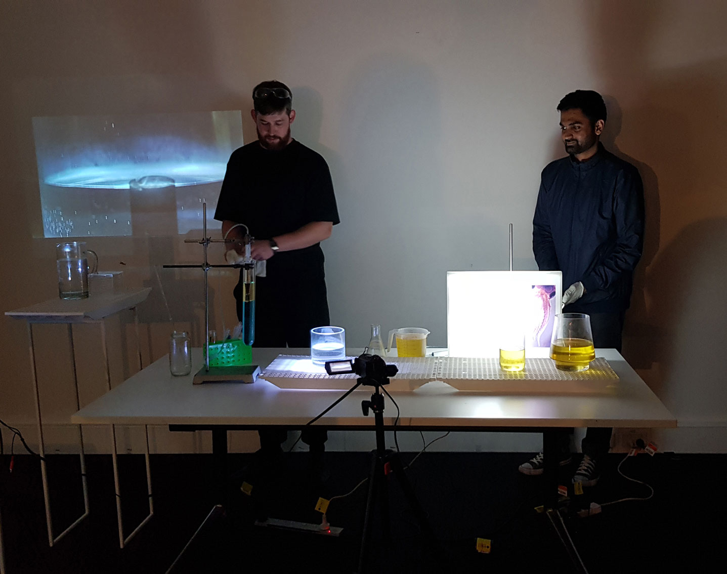 Project ‘Metachrosis’: Dominic Goulding & Atharva Dalil