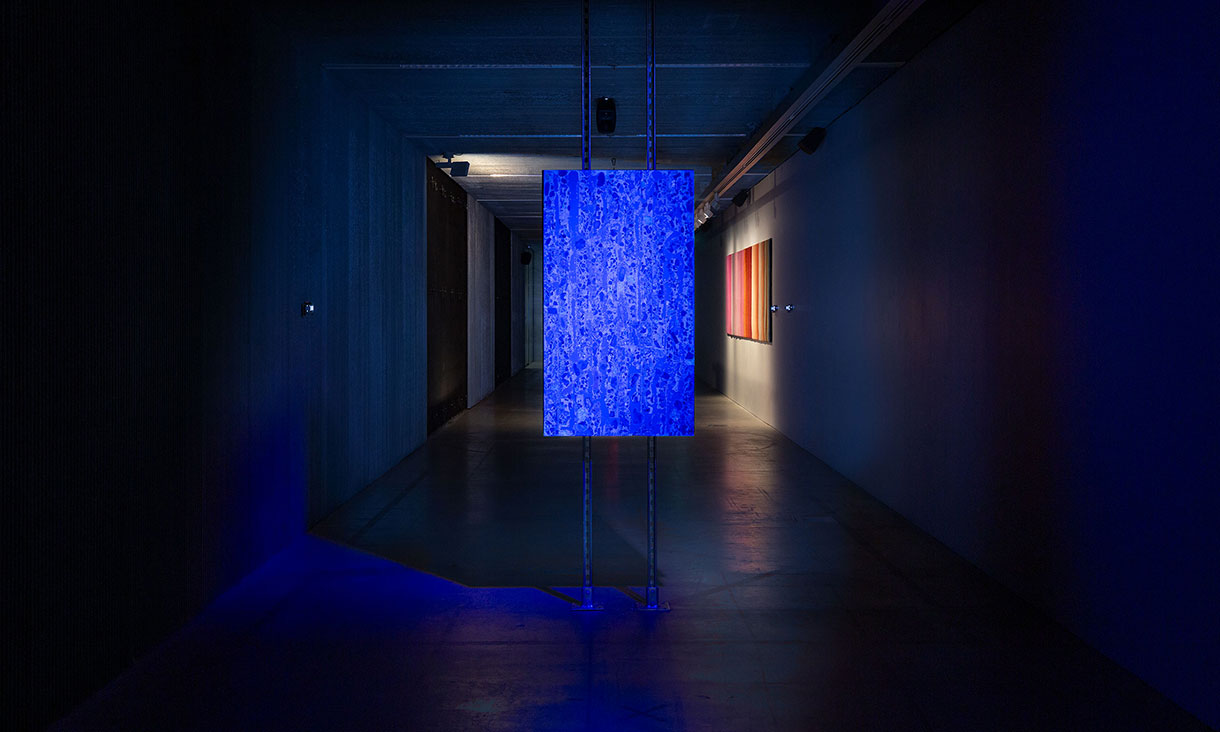 Installation view of Nicholas Mangan and Cameron Allan McKean, Death Assemblage (The blade that makes coral time is shaped like a mushroom cloud), 2024 (foreground) and Emma Jackson, Timeline, 2024 (background), in Deep Time Real Time, RMIT Design Hub Gallery, Carlton, 2025.