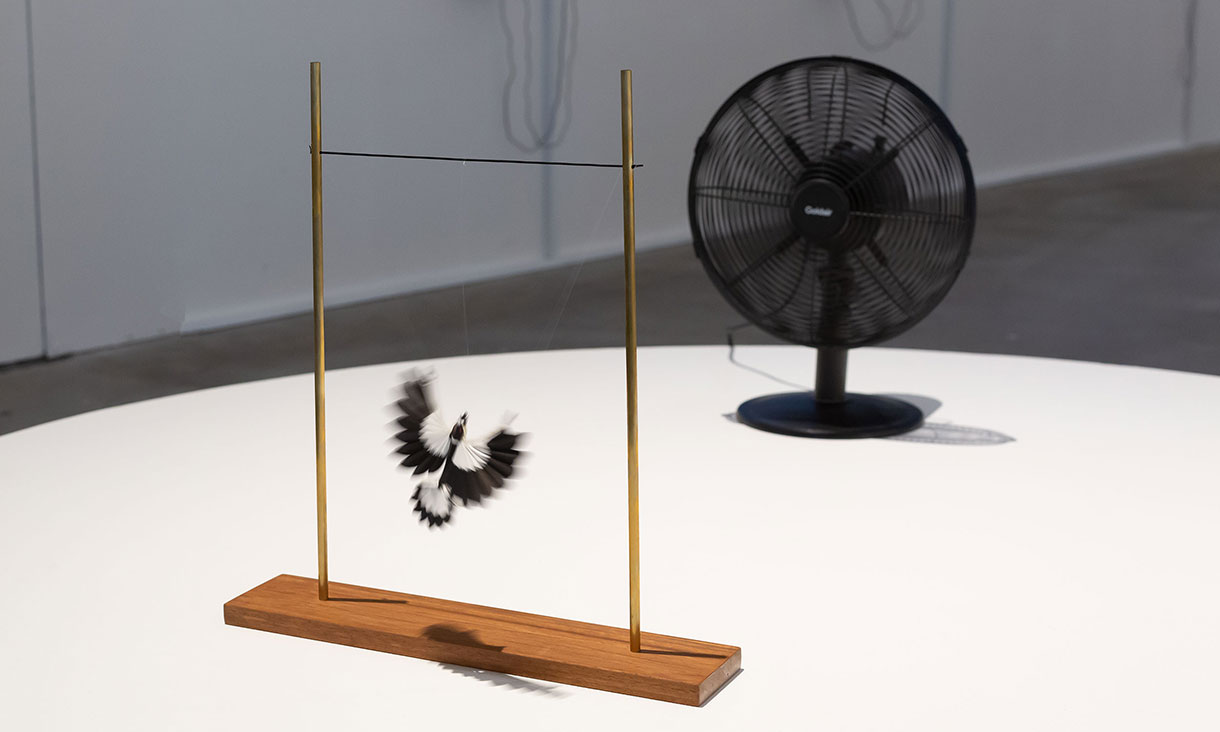Installation view,  'Here's Something I've Been Wanting To Show You' exhibition, RMIT Design Hub Gallery, 2024.
