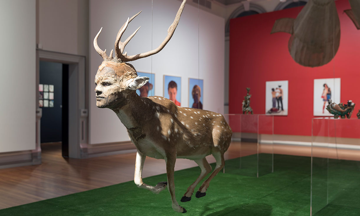 Installation view, My Monster: The Human Animal Hybrid, RMIT Gallery, 2018.