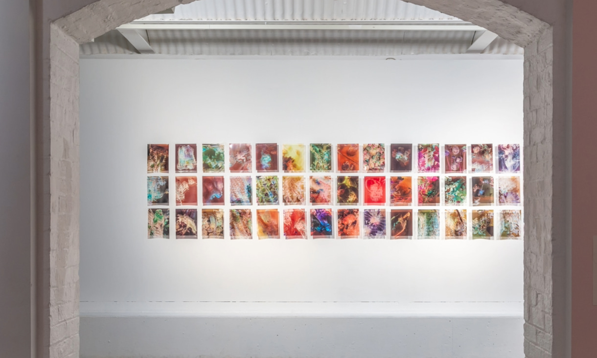 Installation view, Cecilia Sordi Campos, 'The motherhood that wasn't' 2020 – ongoing (background), in 'Macumba', First Site Gallery, Melbourne, 2024.