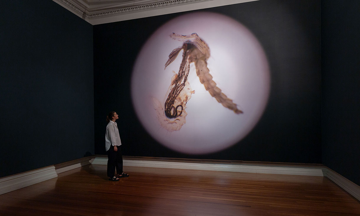 Installation view, Tintin Wulia, Liminal Death 2023, in Tintin Wulia: Secrets, RMIT Gallery, Melbourne, 2023. 