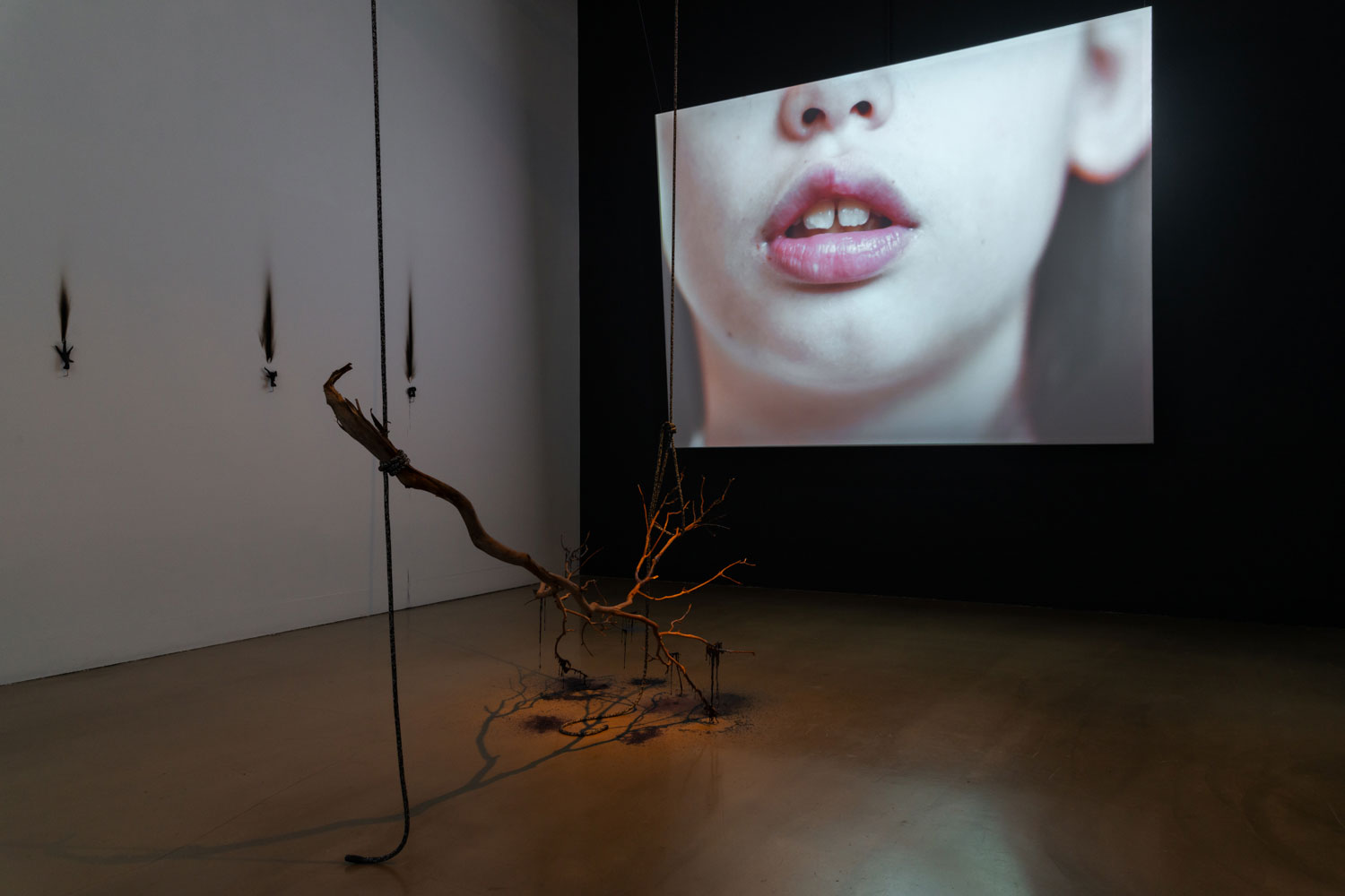 Stephanie Misa, 'An altar for the fleshy tongue', RMIT Gallery, 2023. 