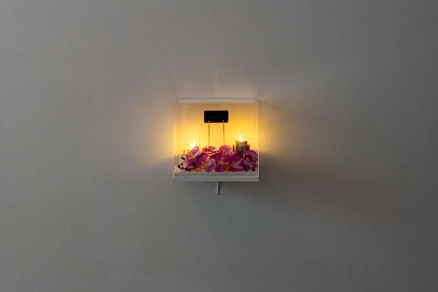 Stephanie Misa, 'An altar for the fleshy tongue', RMIT Gallery, 2023. 