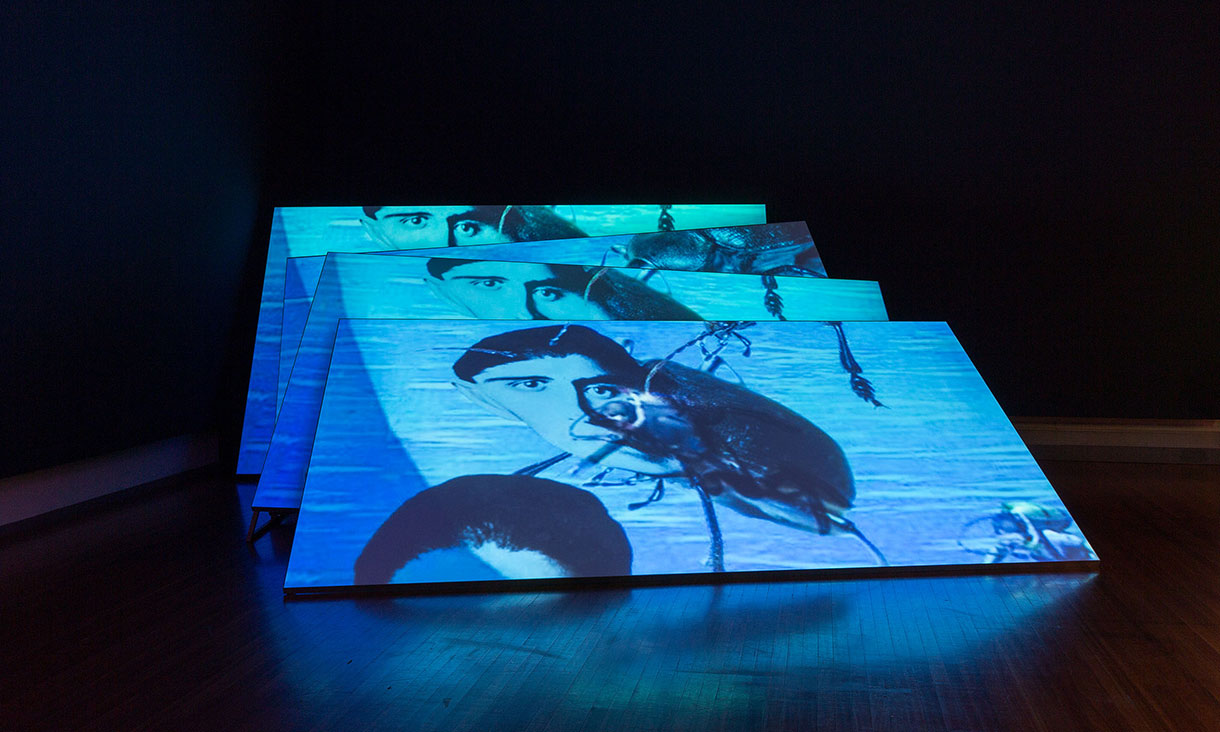 Installation view, Mochu, GROTESKKBASILISKK! MINERAL MIXTAPE 2022, in This Hideous Replica, RMIT Gallery, Melbourne, 2024.