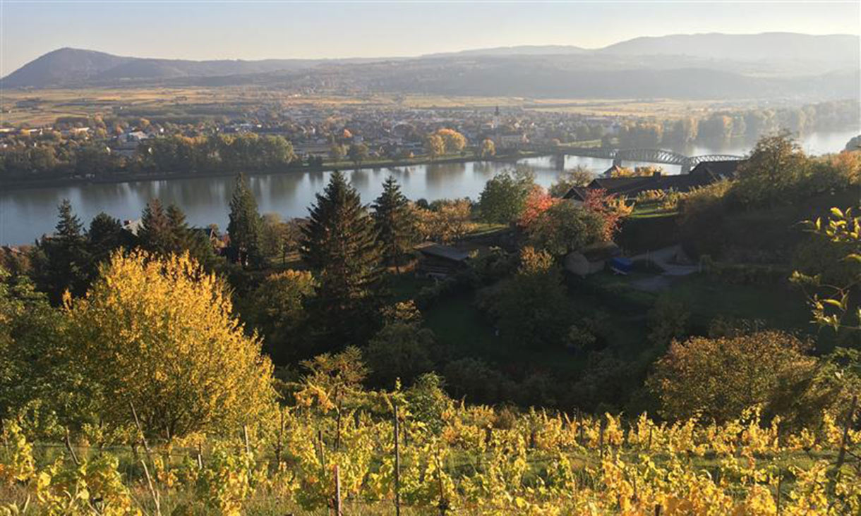 Landscape photo featuring river with mountains int he background and trees in the foreground