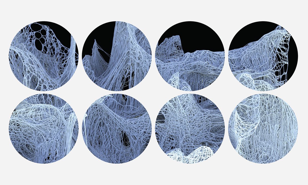 eight circles on a white background, the circles contain textured filament in an organic shape