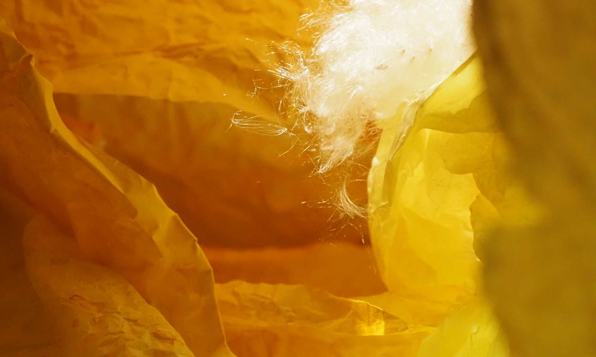 Yellow abstract installation art