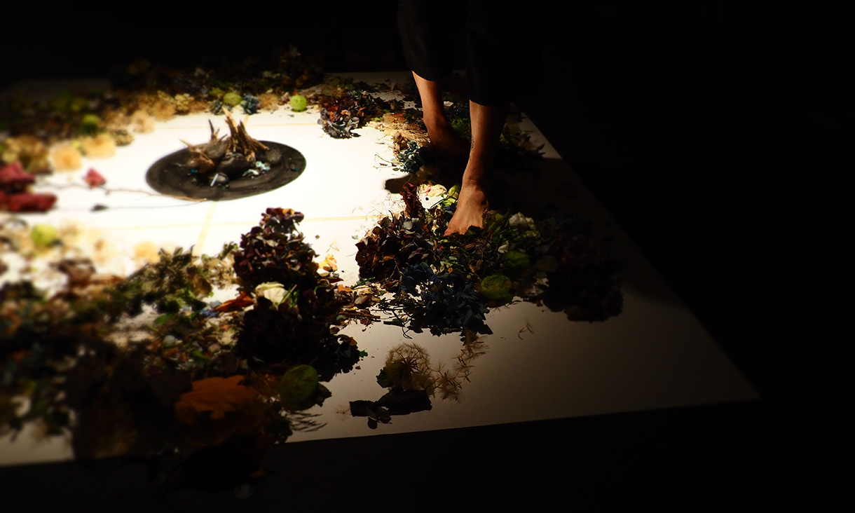 A person's arms amongst plant material