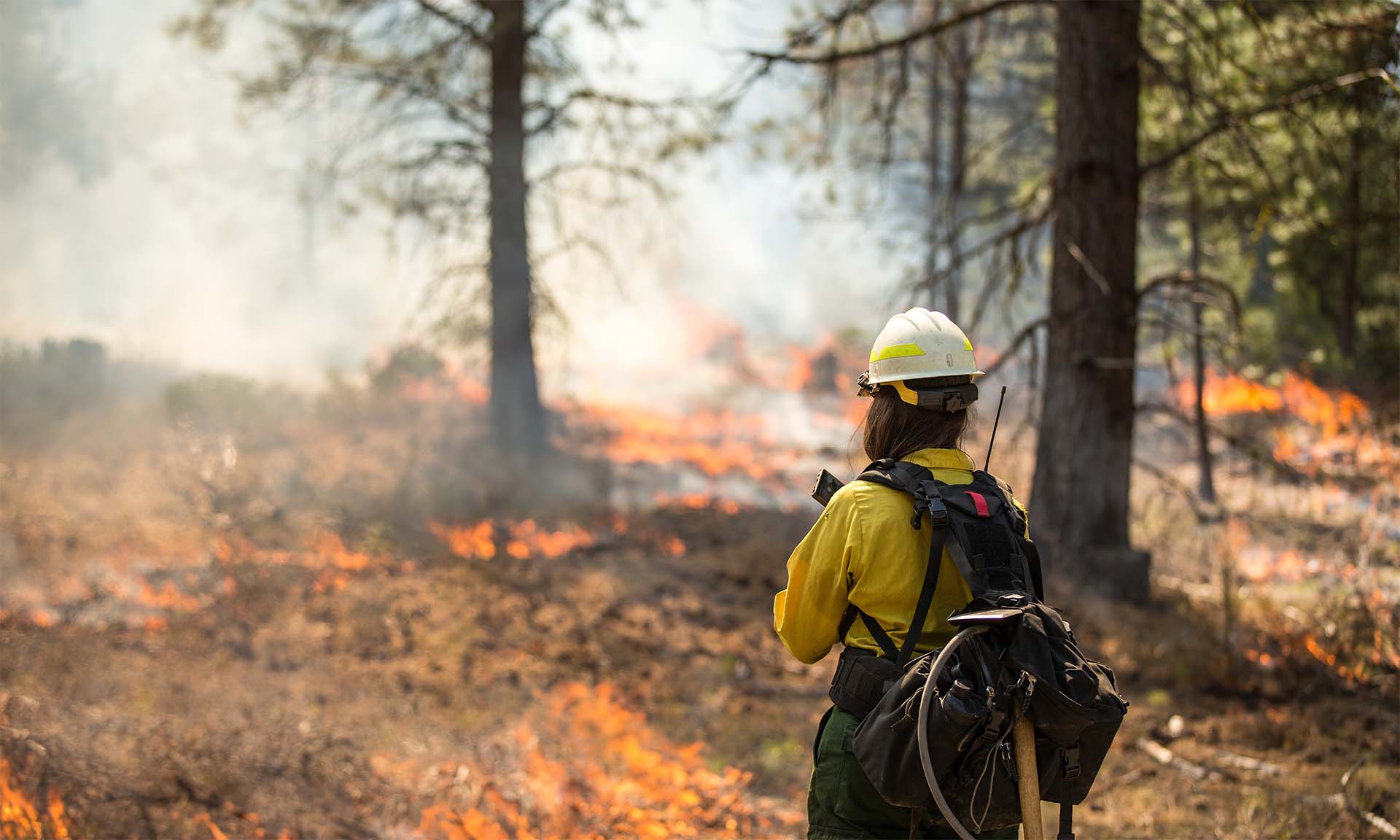 firefighter-thumbnail.jpg