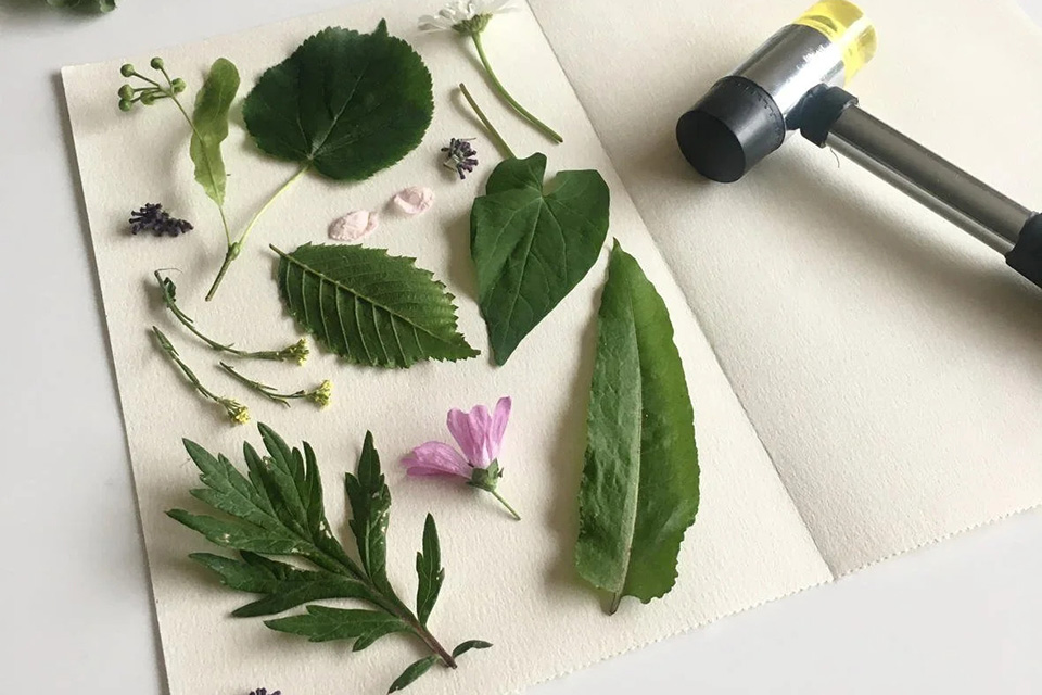 Hapa Zome Flower Hammering Workshops