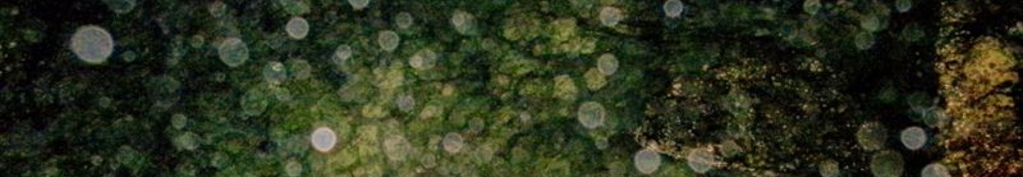 Abstract image showing overlapping translucent circles and a textured green background with subtle yellow and brown highlights.