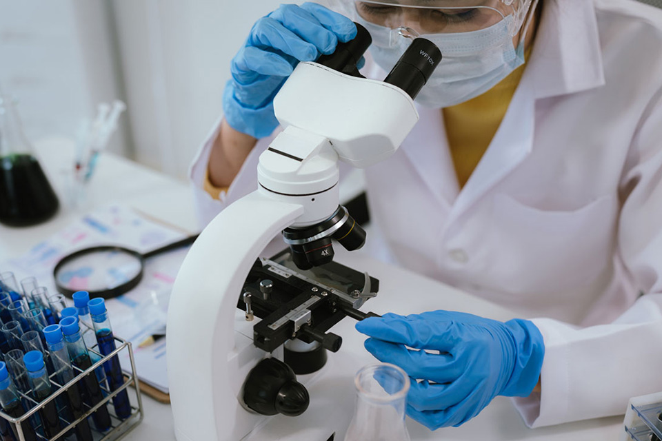 Image of a scientist analysing biological samples using a microscope.