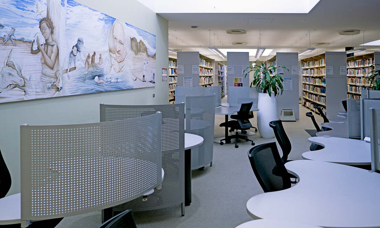 Bundoora Library study area.