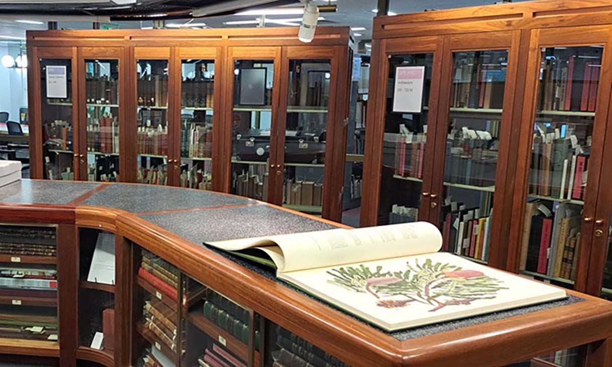 Library special collections room