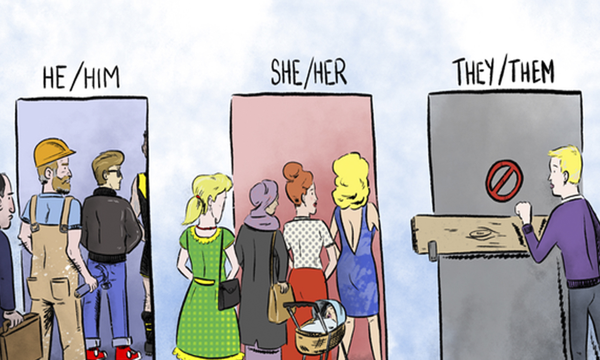 news_gender_his_her_they