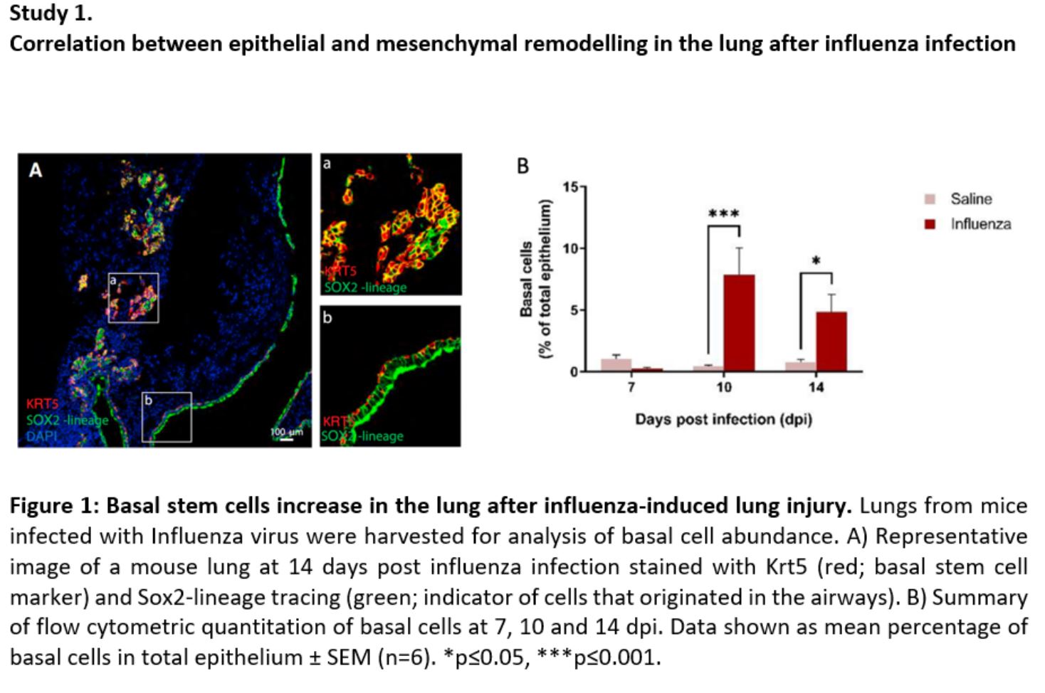 Alt Text is not present for this image, Taking dc:title 'Sample of data used in Cardio Respiratory Biology course'