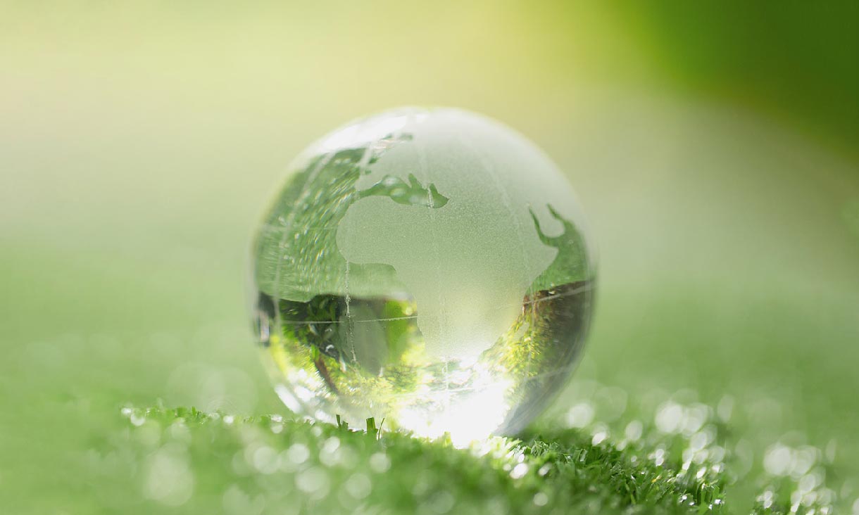 Close up of crystal globe resting on grass in a forest - environment concept 