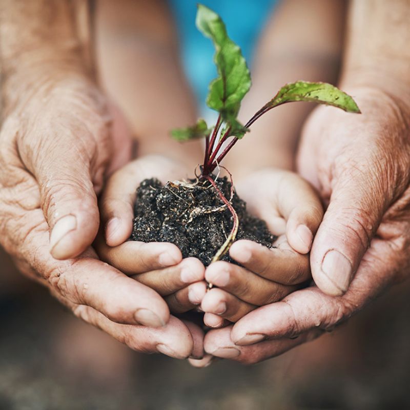 ccrnet-theme-1-climate-pedagogy-and-education-800x800.jpg
