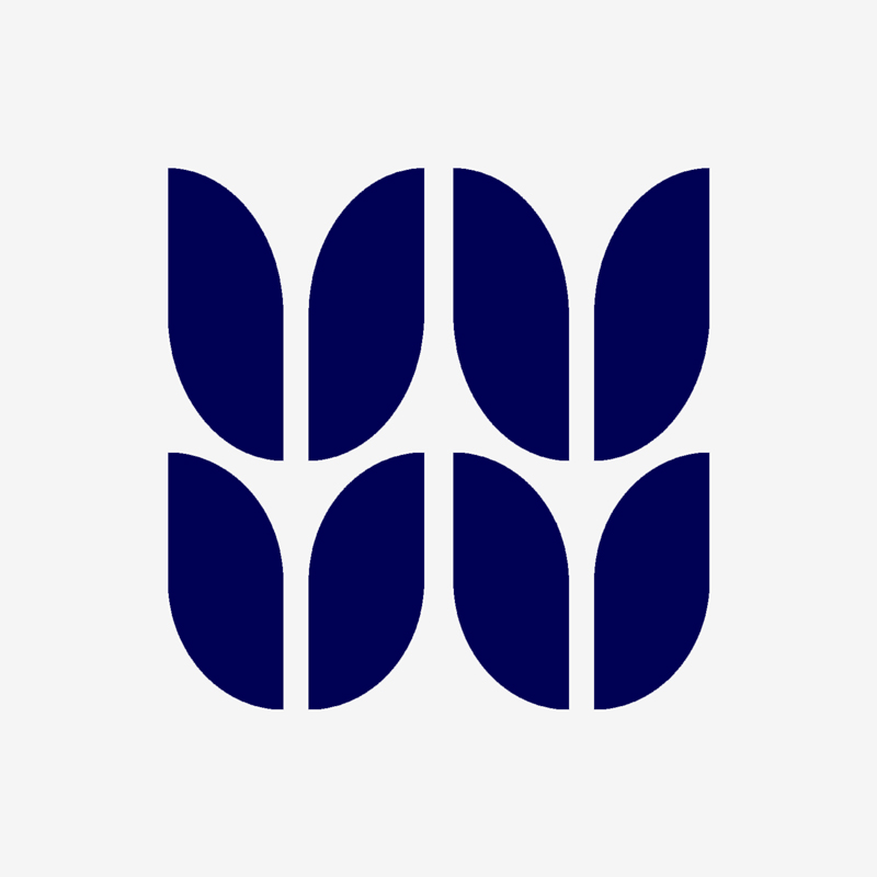 npn-icon-economics-grey-800x800.jpg