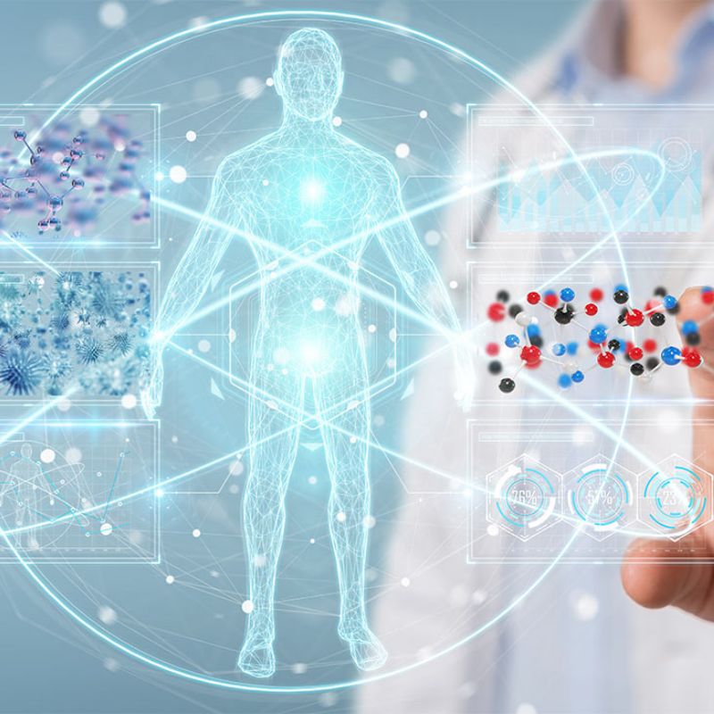 wsn-themes-theme-2-digital-health-800x800.jpg