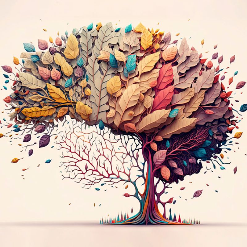 wsn-themes-theme-3-spatial-and-practice-based-800x800.jpg