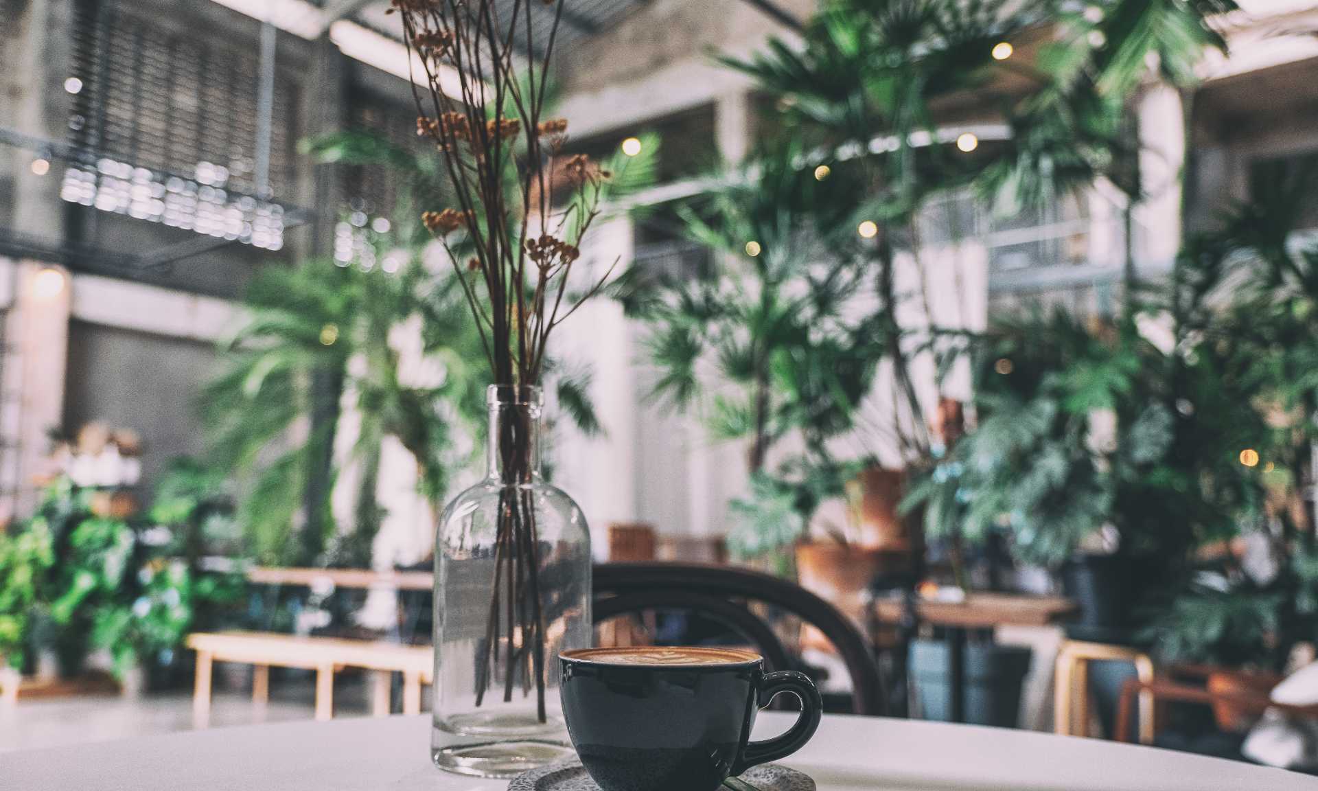 Coffee cup in leafy cafe