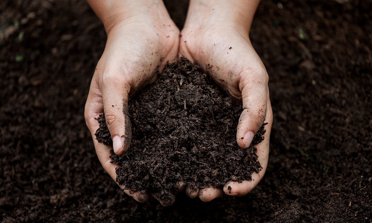 compost-reference-image-1220x732.jpg