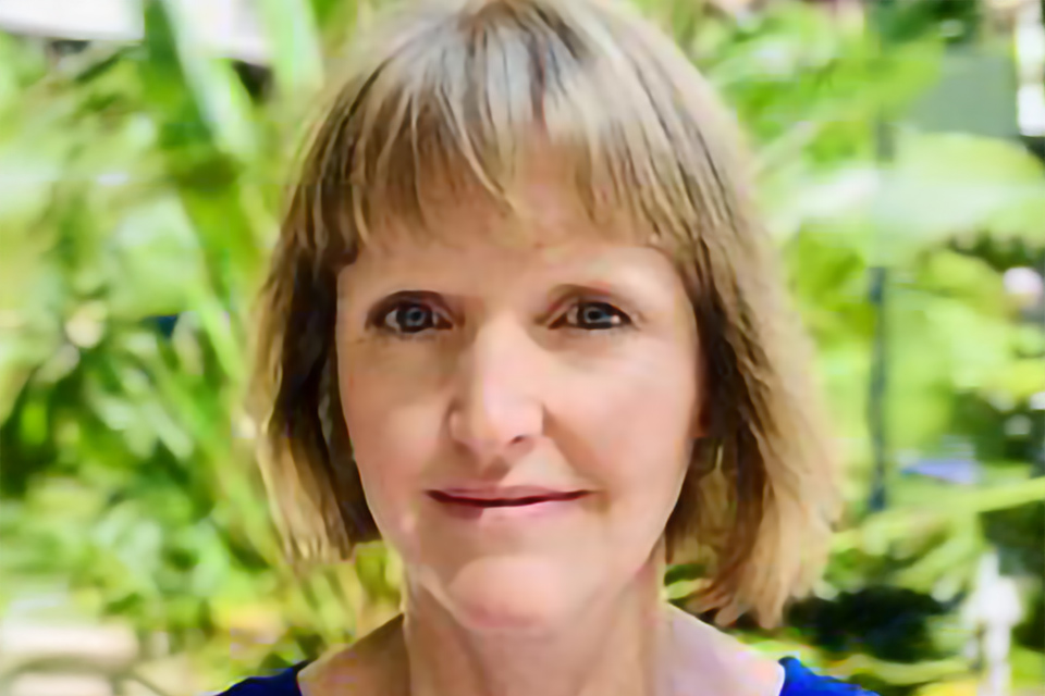 Professor Melanie Davern, Director of the Australian Urban Observatory