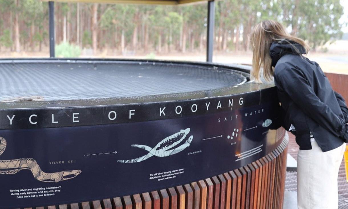 Spending time on Country at Framlingham and Budj Bim had a profound impact on the CHC team.