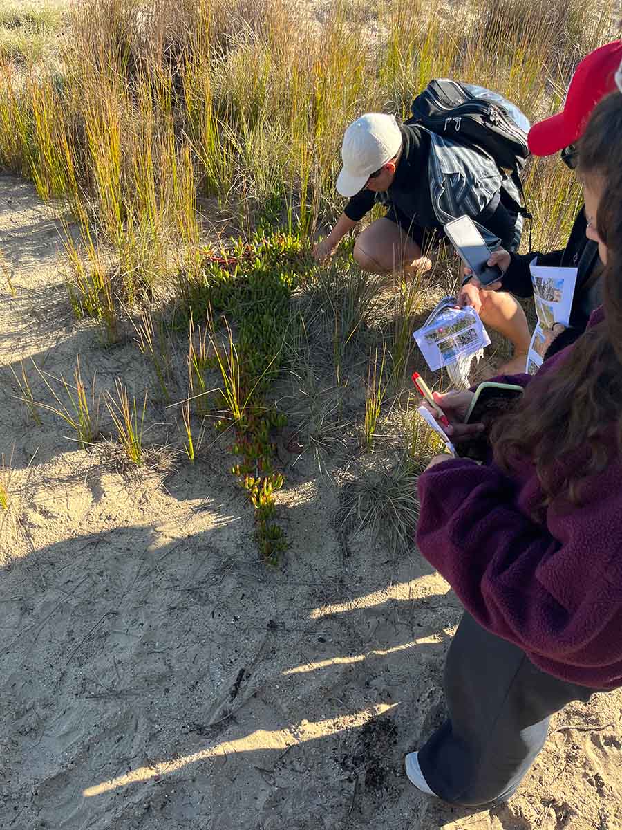 People playing a detective game while exploring plants.