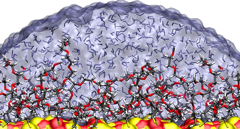 Yarovsky and team showed that hydration and surface dynamics determine the antifouling capacity of industrial coatings. From Journal of Physical Chemistry (DOI: 10.1021/acs.jpcc.9b08361)