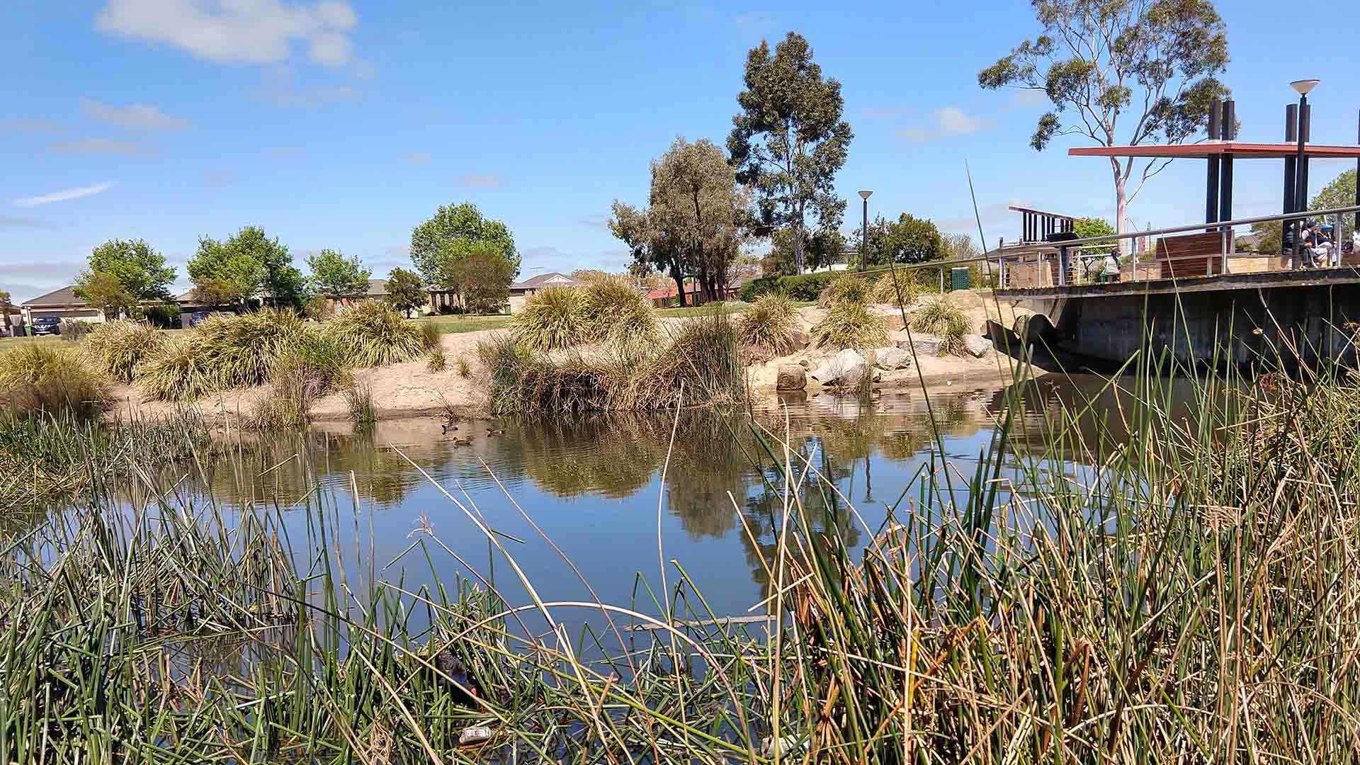 A wetlands with trees around it