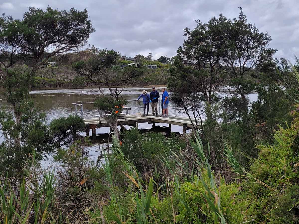 People standing on a wooden bridge over water