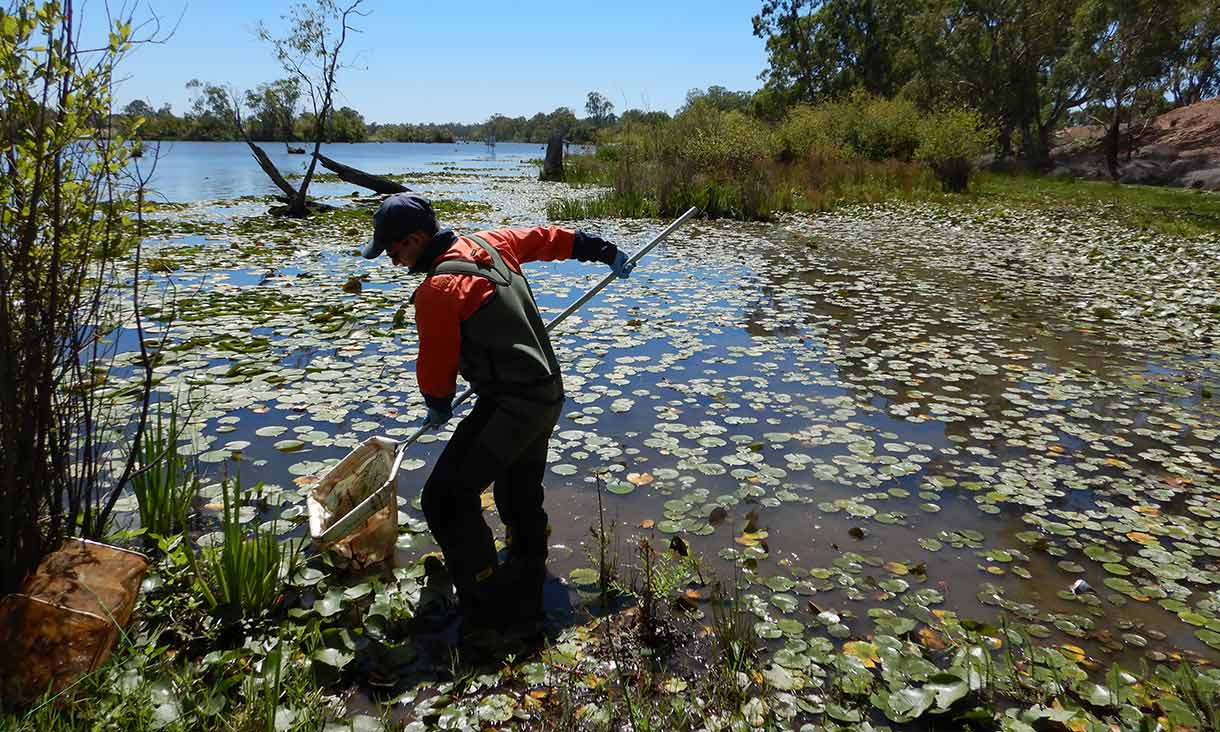 A person with a net at the river