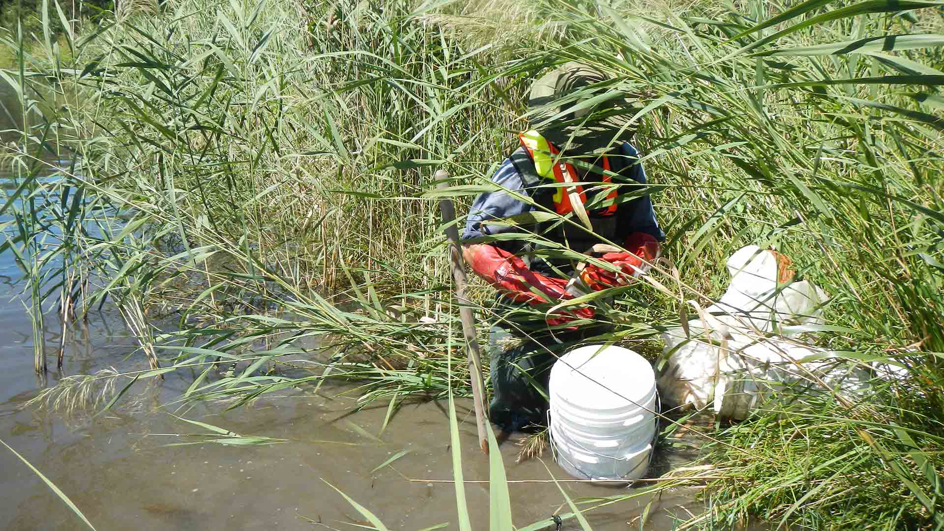 Person crouched at the edge of the water