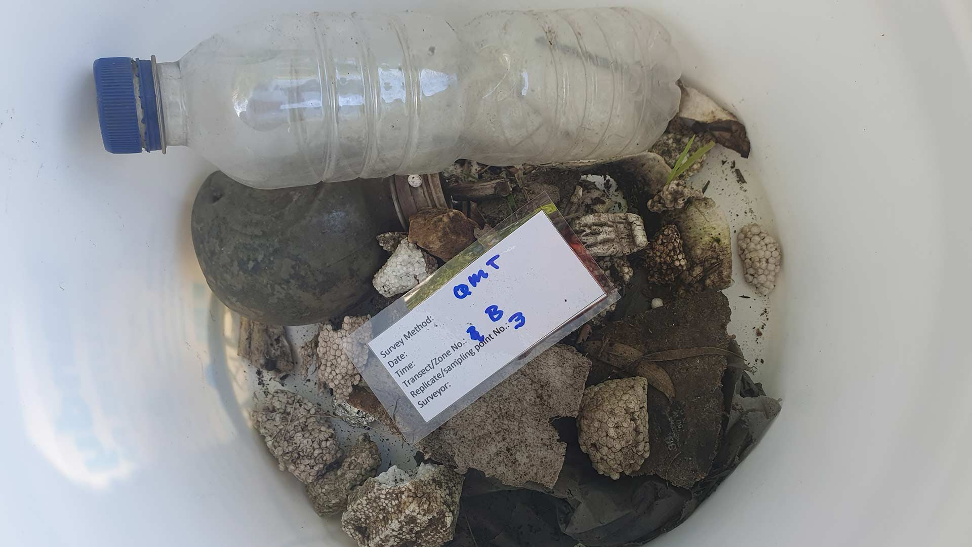 Results of a litter survey in one section of Stony Creek