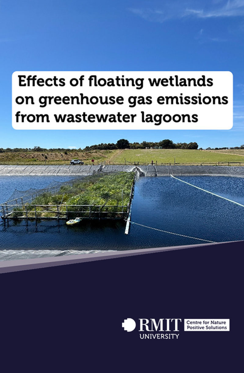 Cover page of "Effect of floating wetlands on greenhouse gas emissions from wastewater lagoons"